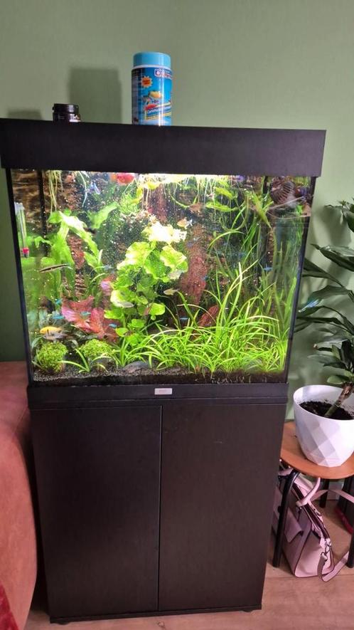 Juwel lido 120, Dieren en Toebehoren, Vissen | Aquaria en Toebehoren, Gebruikt, Gevuld zoetwateraquarium, Ophalen