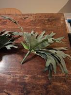 Hertshoorn (Kunstplant), 3 stuks, Ophalen of Verzenden, Zo goed als nieuw