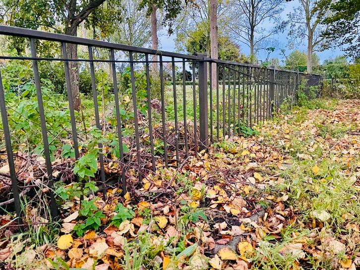 Gegalvaniseerd hek spijlen 25 meter met poortje, Tuin en Terras, Tuinhekken en Hekwerk, Gebruikt, Spijlenhekwerk, IJzer, Ophalen