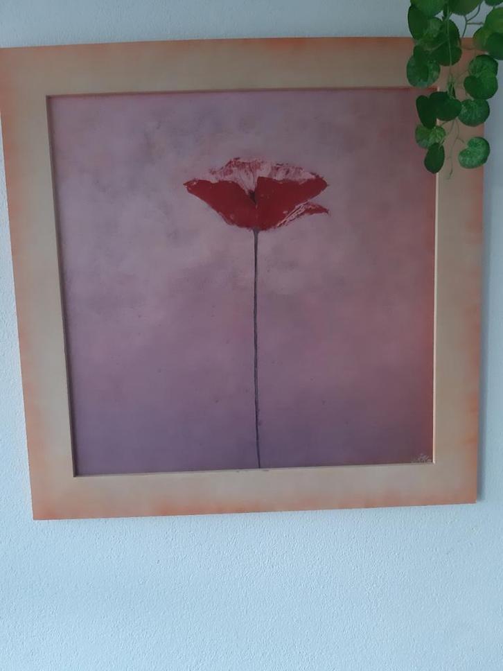 Klaproos schilderij met houten lijst - 72x72 cm, Antiek en Kunst, Kunst | Schilderijen | Klassiek, Ophalen