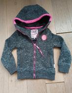 Borgvest Vingino valt als 104 ipv 110, Kinderen en Baby's, Ophalen of Verzenden, Zo goed als nieuw, Trui of Vest