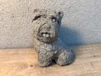 Tuinbeeld van een hond betonnen hond, Tuin en Terras, Tuinbeelden, Ophalen of Verzenden, Gebruikt, Beton, Dierenbeeld