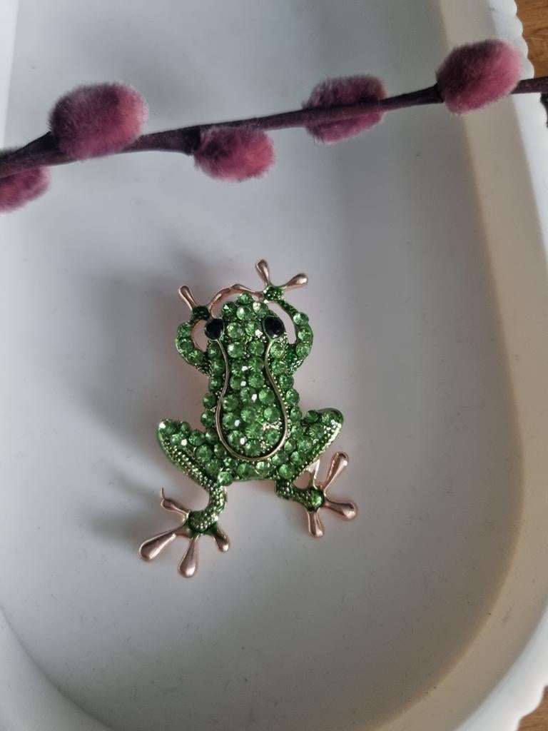 Oeteldonk Kikker Speld Broche Strass, Ophalen of Verzenden