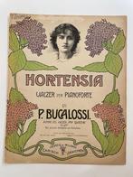 oude partituur, bladmuziek, Italie 1900, Hortensia, Gebruikt, Klassiek, Ophalen of Verzenden, Artiest of Componist