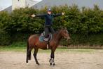 Zeer chique allround eyecatcher !!, Merrie, B, Springpony, 3 tot 6 jaar