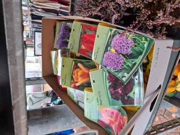 Diverse bloembollen beschikbaar voor biedingen