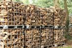 Gekloofd haardhout te koop, 6 m³ of meer, Ophalen, Overige houtsoorten, Blokken