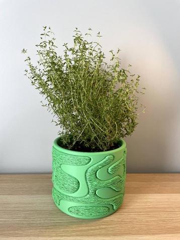 Kruidenpot VOOR Lidl Rozemarijn / Tijm | Elegant Design beschikbaar voor biedingen