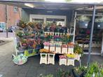 Bloemenkiosk 't Blomke - Te Koop in Santpoort Zuid!, Winkelruimte, Koop, 12 m²