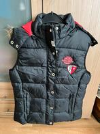 Bodywarmer Harry’s Horse, Nieuw, Overige soorten, Bovenkleding, Ophalen of Verzenden