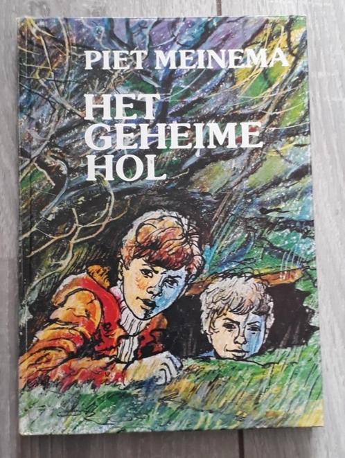 Het geheime hol, Boeken, Kinderboeken | Jeugd | onder 10 jaar, Gelezen, Fictie algemeen, Ophalen of Verzenden