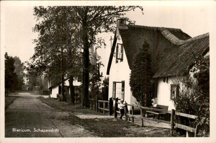 Blaricum- Schapendrift, Verzamelen, Ansichtkaarten | Nederland, Gelopen, Noord-Holland, Voor 1920, Ophalen of Verzenden