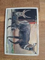 Verkade plaatje Blauwe Waterbokken, Ophalen of Verzenden, 1920 tot 1940, Ongelopen