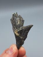 Kyaniet - Ribeirao da Folha, Minas Gerais, Brazilië, Ophalen of Verzenden, Mineraal