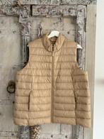 C&A bodywarmer XXL, Ophalen of Verzenden, Zo goed als nieuw