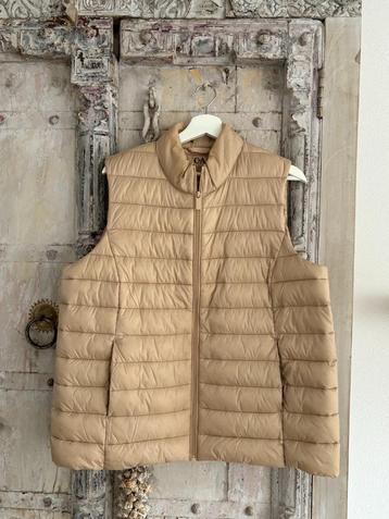 C&A bodywarmer XXL beschikbaar voor biedingen
