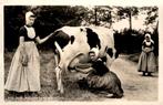 Zeeland Vrouwen melken de koeien # 5, Ophalen of Verzenden, 1940 tot 1960, Gelopen, Zeeland