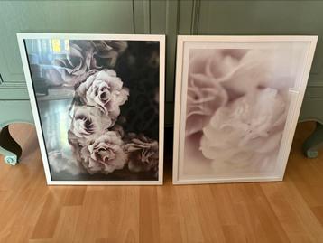 2 mooie ingelijste posters van bloemen 43 x 53 cm beschikbaar voor biedingen