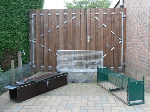 Vangkooien voor ratten, konijnen, katten, honden, duiven enz, Diensten en Vakmensen, Ongediertebestrijding