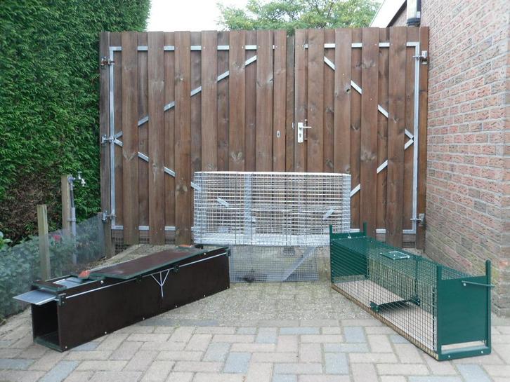 Vangkooien voor ratten, konijnen, katten, honden, duiven enz, Diensten en Vakmensen, Ongediertebestrijding