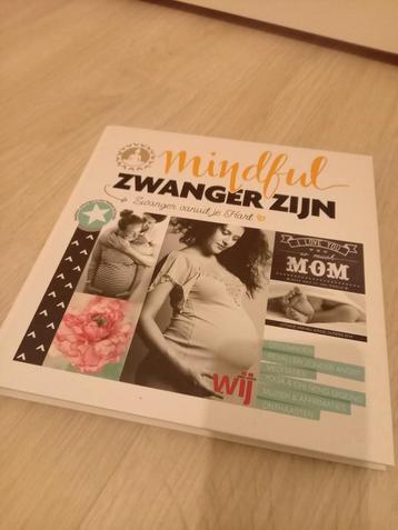 Mindful zwanger zijn boek incl cd