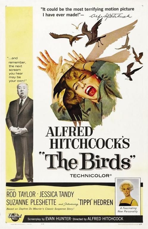 The Birds, Hitchcock, Tippi Hedren, Rod Taylor, Jess Tandy., Cd's en Dvd's, Dvd's | Klassiekers, Zo goed als nieuw, Ophalen of Verzenden