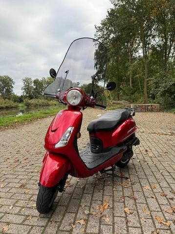SYM Fiddle II 50S beschikbaar voor biedingen