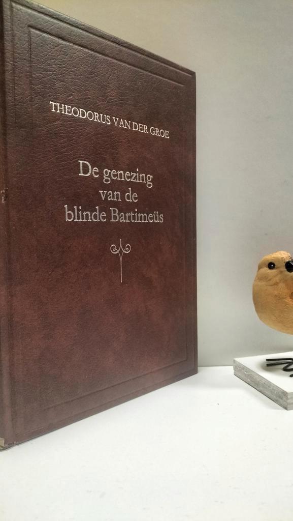 Groe, Th van der; De genezing van de blinde Bartimeüs, Boeken, Godsdienst en Theologie, Gelezen, Christendom | Protestants, Ophalen of Verzenden