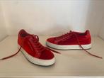 Philipp Plein sneakers rood maat 40 nieuw, Ophalen of Verzenden, Philipp Plein, Rood, Sneakers of Gympen