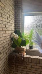 Sierplanten set, Ophalen, Overige soorten, Minder dan 100 cm