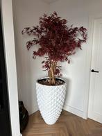 Grote kunstplant met luxe witte pot – totale hoogte 205 cm, Ophalen, Zo goed als nieuw