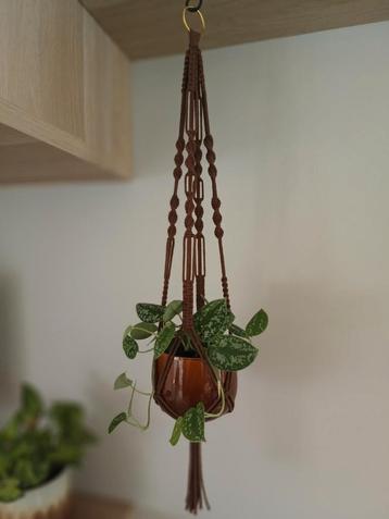 Macramé plantenhanger beschikbaar voor biedingen