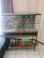 Terrarium of aquarium kast 100 x 40 x 80 cm, Dieren en Toebehoren, Knaagdieren en Konijnen | Hokken en Kooien, Overige typen, 60 tot 90 cm