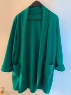 Groen jasje, Ophalen of Verzenden, Gedragen, Groen