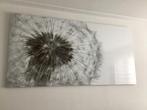Schilderij van plexiglas 180x90 cm, Ophalen