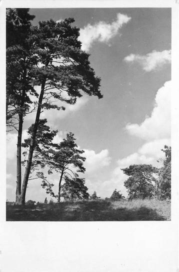 (388-360-021) Driebergen-Rijsenburg Op de heide beschikbaar voor biedingen