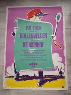 N.S. per trein naar de bollenvelden en keukenhof., Ophalen of Verzenden, Zo goed als nieuw, Rechthoekig Staand, Reclame