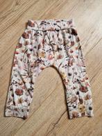 Baby floral broekje XOOZ, Ophalen of Verzenden, Zo goed als nieuw, Maat 80