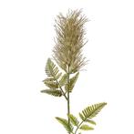 CLAYRE & EEF - KUNST TAK, Ophalen of Verzenden, Nieuw