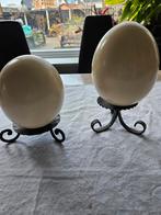 2 struisvogel eieren, Ophalen of Verzenden