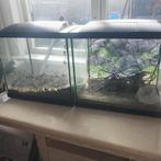 2 aquariums, Dieren en Toebehoren, Ophalen, Zo goed als nieuw, Leeg aquarium