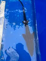 Diamant steur, Dieren en Toebehoren, Steur