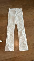 Witte only broek flared jeans maat M, W30 - W32 (confectie 38/40), Ophalen of Verzenden, Wit, Zo goed als nieuw