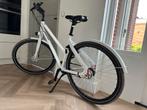 Cortina Blau, 50cm, Belt, 7 versnellingen, Fietsen en Brommers, Versnellingen, Zo goed als nieuw, 50 tot 53 cm, Ophalen