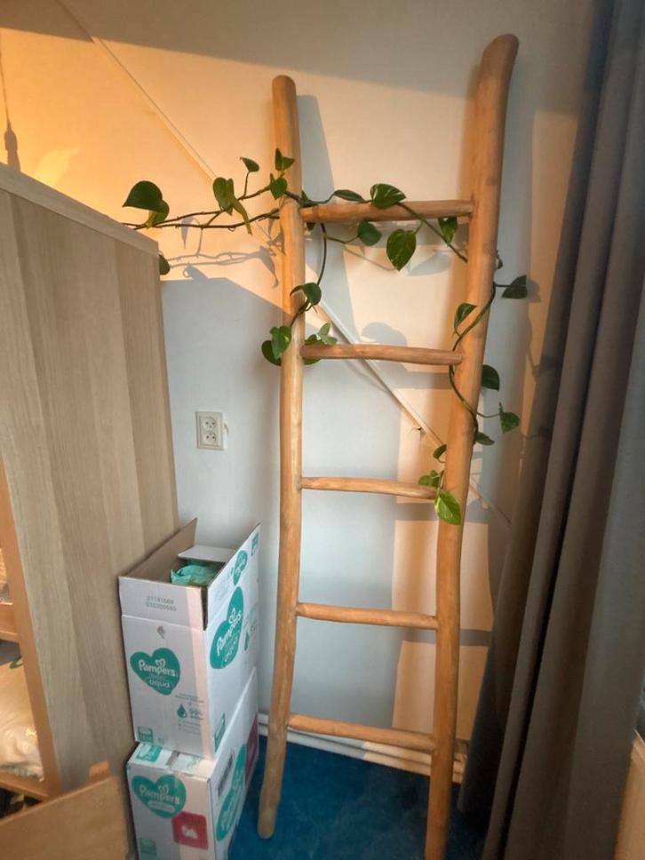 Houten ladder, Doe-het-zelf en Verbouw, Ladders en Trappen, Gebruikt, Ladder, 2 tot 4 meter, Opvouwbaar of Inschuifbaar, Ophalen