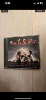 Born to be wild - various rocksongs, Ophalen of Verzenden, Zo goed als nieuw, Poprock