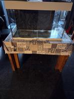 Witte juwel rio 125, Dieren en Toebehoren, Vissen | Aquaria en Toebehoren, Ophalen, Gebruikt, Leeg aquarium