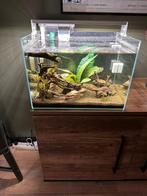 Aquarium 60 liter, Dieren en Toebehoren, Vissen | Aquaria en Toebehoren, Zo goed als nieuw, Ophalen, Leeg aquarium