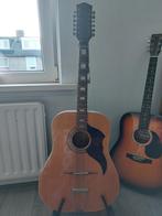 12 snarige gitaar Egmond, Muziek en Instrumenten, Snaarinstrumenten | Gitaren | Akoestisch, Ophalen, Gebruikt, Western- of Steelstringgitaar