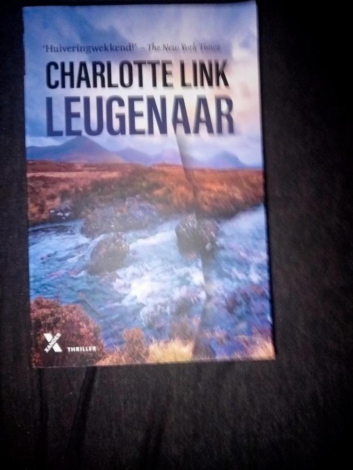 Charlotte Link - Leugenaar, Boeken, Thrillers, Zo goed als nieuw, Ophalen of Verzenden